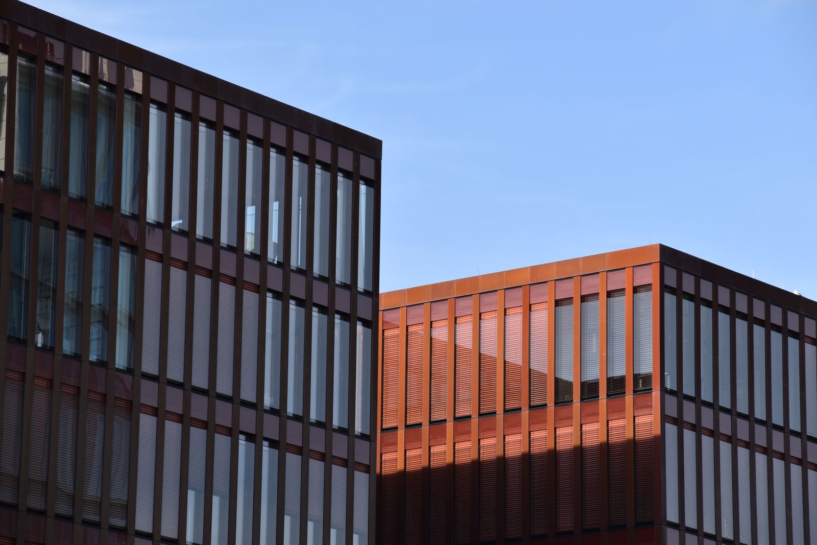 Commercial buildings along a city street